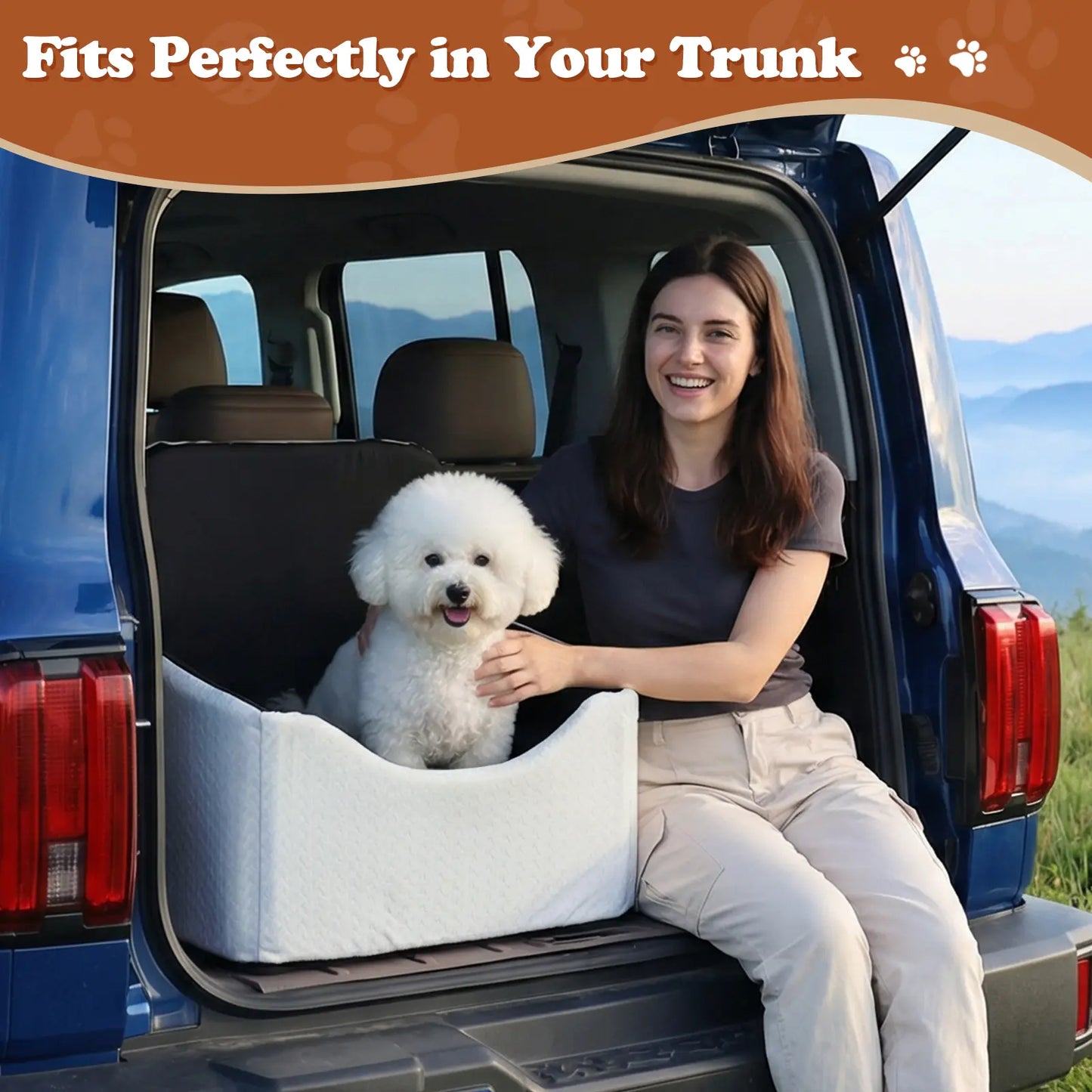 Non-Slip Waterproof Enclosed Dog Car Booster Seat, All Season Pet Travel Car Seat